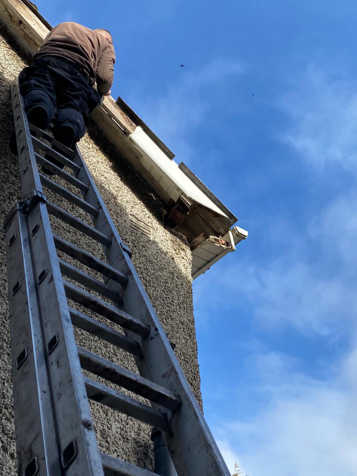 Will you clean up the debris and dispose of it properly after completing the roofing work in Dublin?